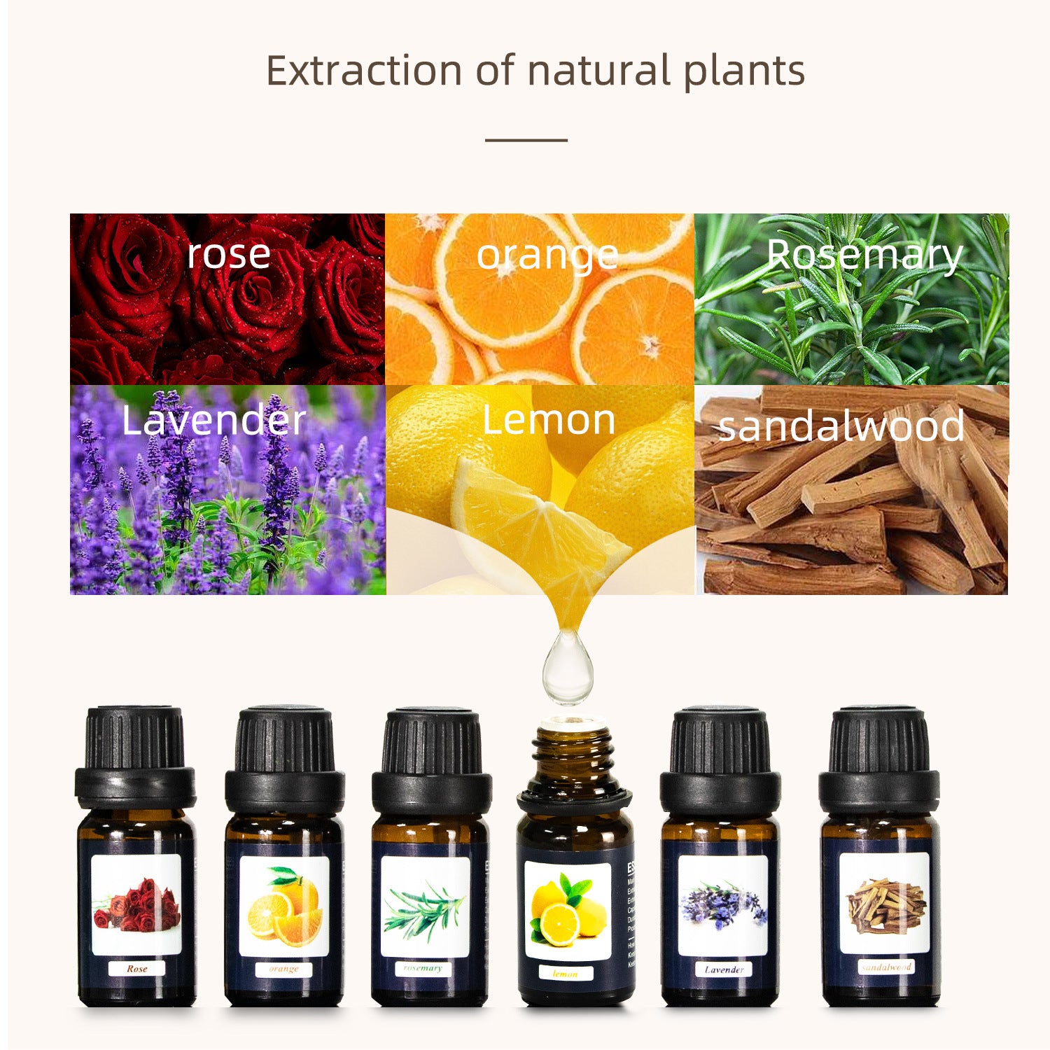 10Ml single humidifier essential oil